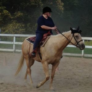 Meet your Posher, Donna